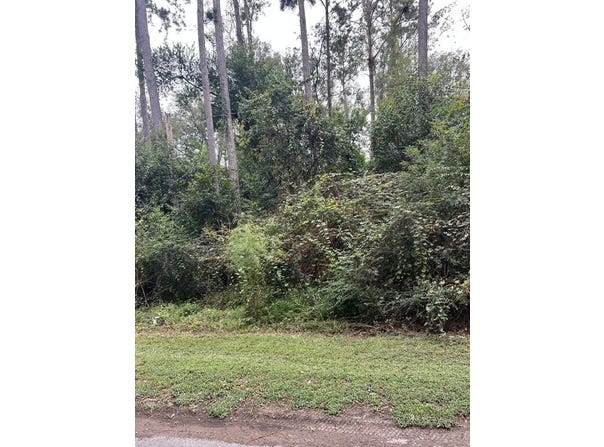 Reynolds Ave, Broxton, GA 31519