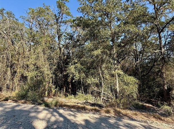 TBD Lot 1232 Hanauma Dr, Bastrop, TX 78602