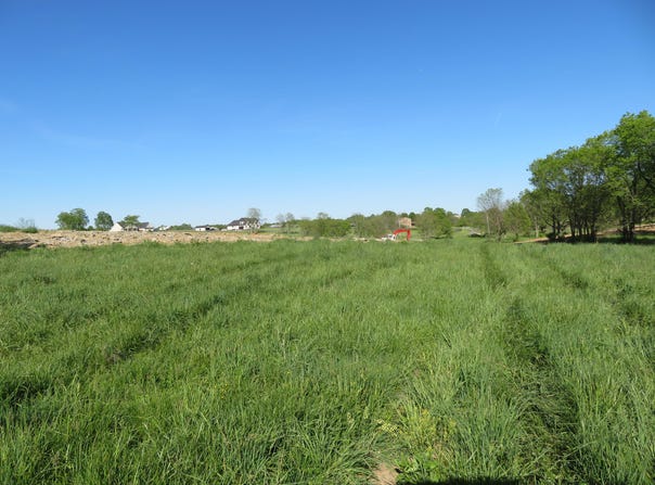 1185 Craig Crossing Road, Winchester, KY 40391