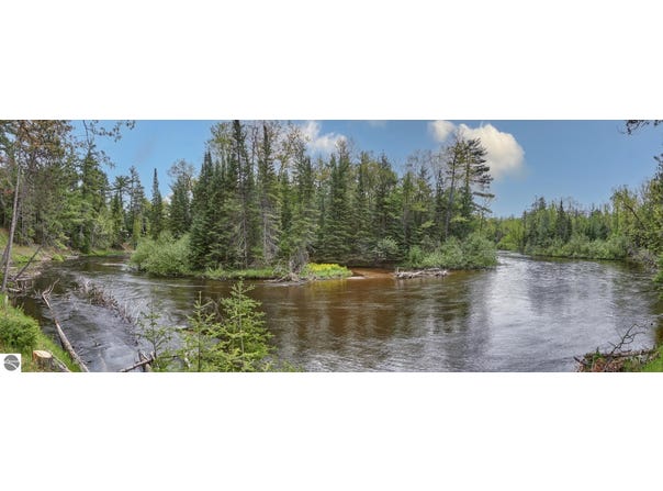 11208 RED DOG TRAIL, GRAYLING, MI 49738