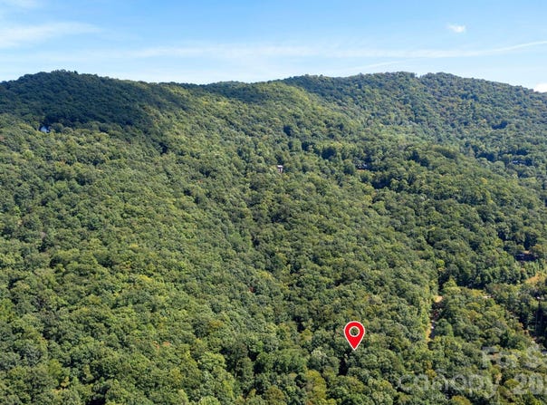 1250 Arborcrest Way, Swannanoa, NC 28778