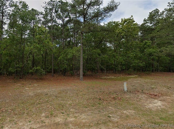 30 Peach Orchard Road, Wagram, NC 28396