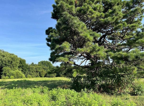 Tract 5 E1252 Road, Whitefield, OK 74462