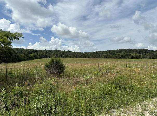 Tbd Hargus Road, Seymour, MO 65746