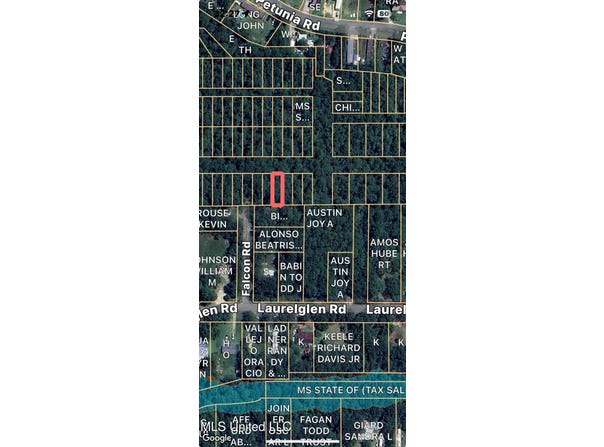Nhn Lot 12, Gautier, MS 39553