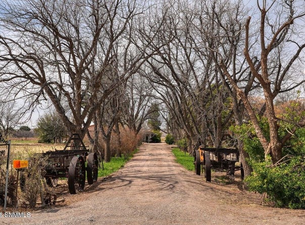 2090 Snow Road, Mesilla, NM 88046