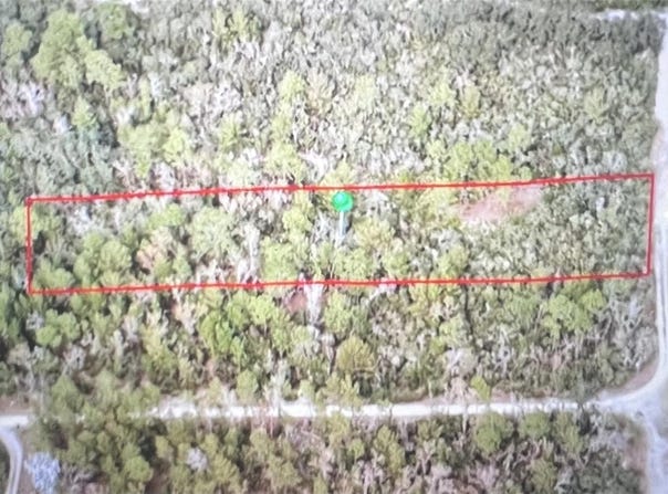 795 4TH STREET E, OSTEEN, FL 32764