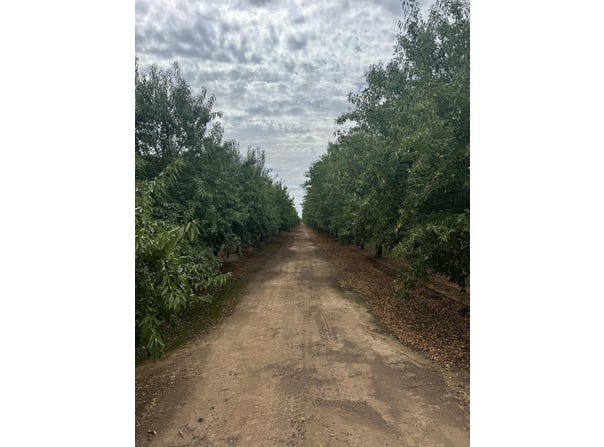 22741 Road 18 1/2, Chowchilla, CA 93610