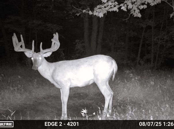 149 Ac M/L County X, Soldiers Grove, WI 54655