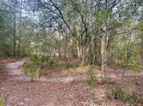 NW 11th Ave, Bell, FL 32619