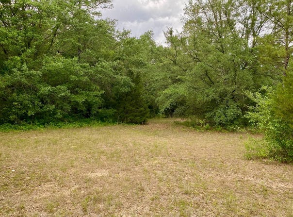 3+/- Acres Grove Rd, Hartford, AL 36344