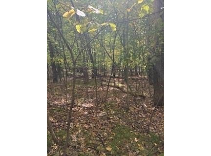 10082 Sante Fe Trail, Canadian Lakes, MI 49346