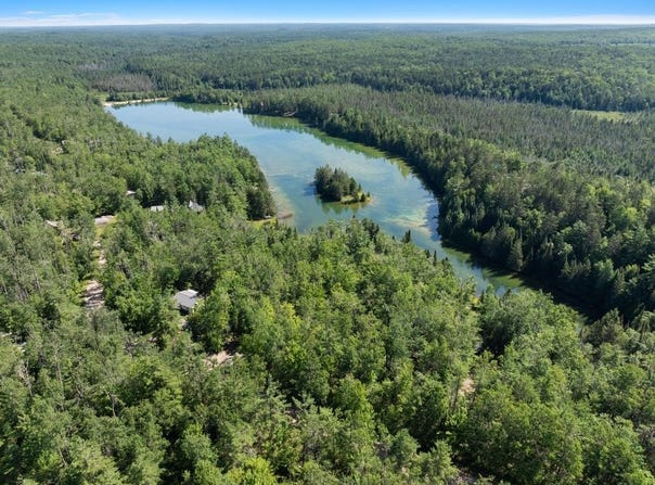 14703 Shore Line Drive, Wolverine, MI 49799