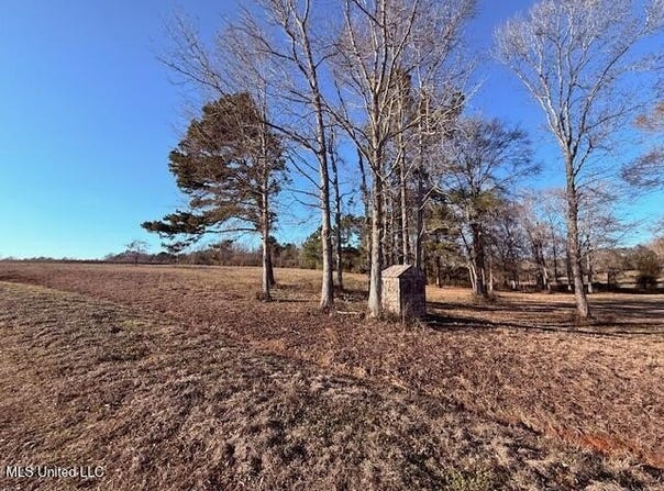 Joby Magee Road, Franklinton, LA 70438