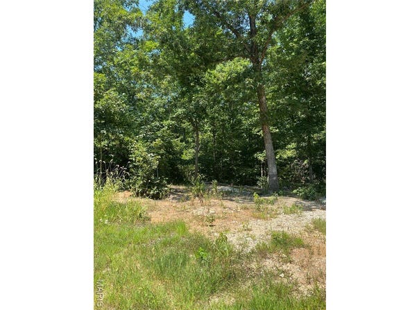 0 Pendleton Lost Creek Road 4+ Acres, Warrenton, MO 63383