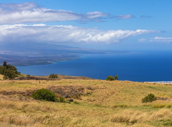 Kamuela, HI 96743