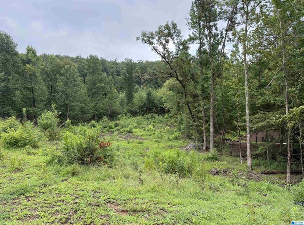 1072 ROYAL MILE lot: 726A2, BIRMINGHAM, AL 35242