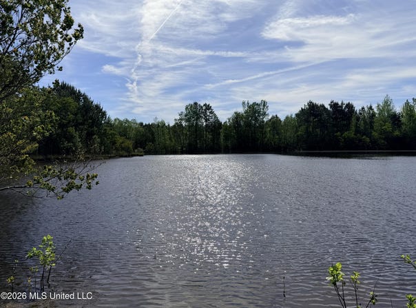 Chathaw Path, Smithdale, MS 39664