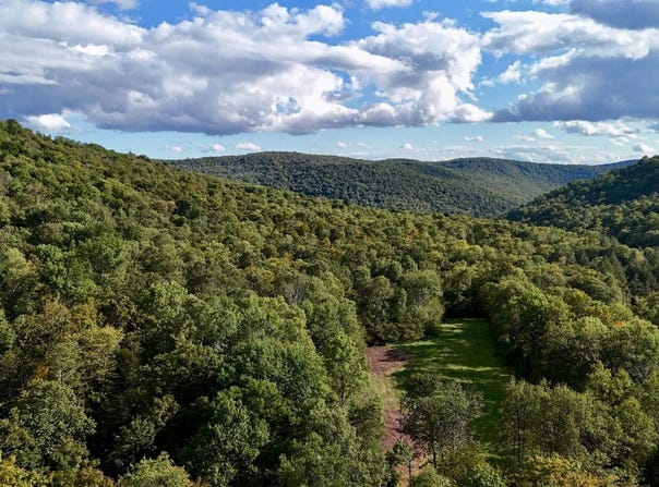 216 Neer Rd, Long Eddy, NY 12760