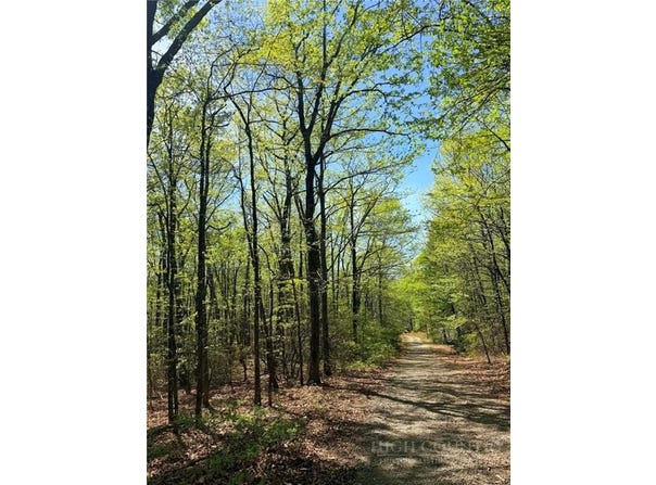 Raven Ridge Trail, Dobson, NC 27017