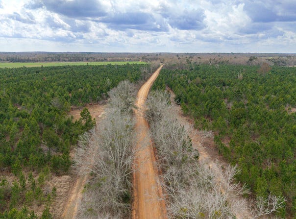 0 Chipola Rd, Slocomb, AL 36375