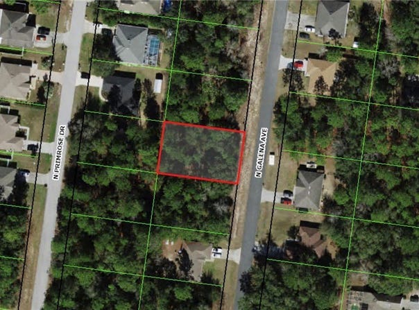 8122 GALENA Avenue, Citrus Springs, FL 34434