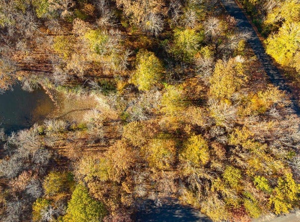 13 & 14 GLEN EAGLES DRIVE, GORDONSVILLE, VA 22942