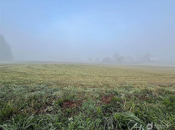 1 lot Fruitdale Road, Sedro Woolley, WA 98284