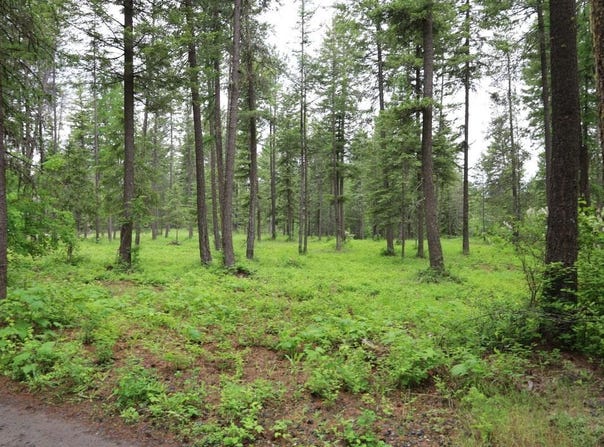 2559 TBD United Copper Mine Rd, Chewelah, WA 99109