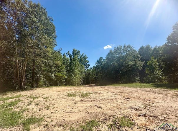 1435 Red Maple Rd, Big Sandy, TX 75755