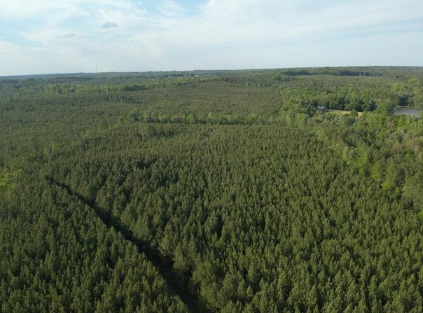 60.52 AC S Terrys Bridge Road, Scottsburg, VA 24589