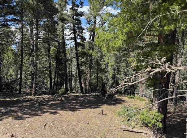 Lot 1662 El Vado Way, Angel Fire, NM 87710