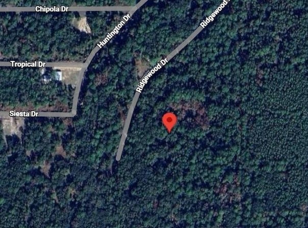 205 SIESTA Drive, GEORGETOWN, FL 32139