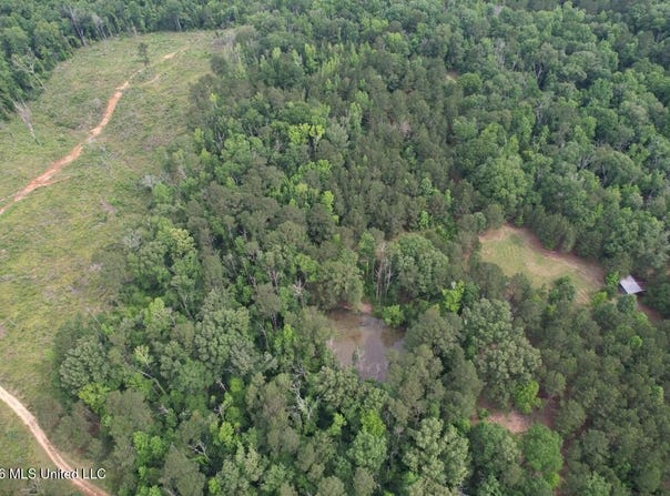 4155 Sterling Lane, Liberty, MS 39645