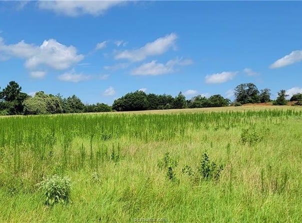 0001 Lone Star Lane, Franklin, TX 77856