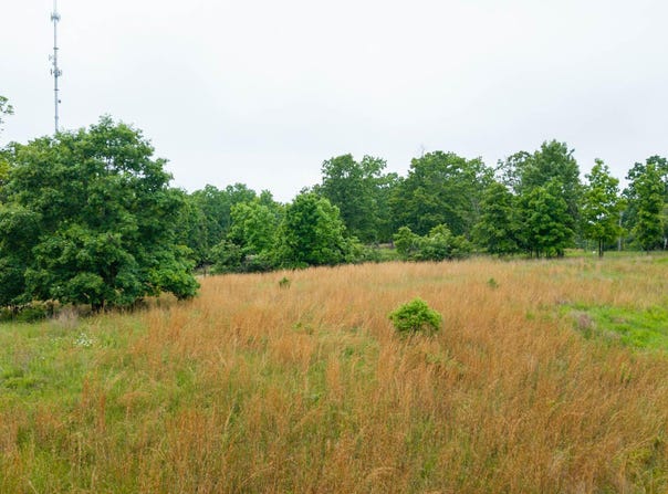 000 County Road 302, Alton, MO 65606