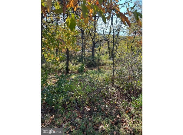 988 HORSEMAN DRIVE, AUBURN, PA 17922