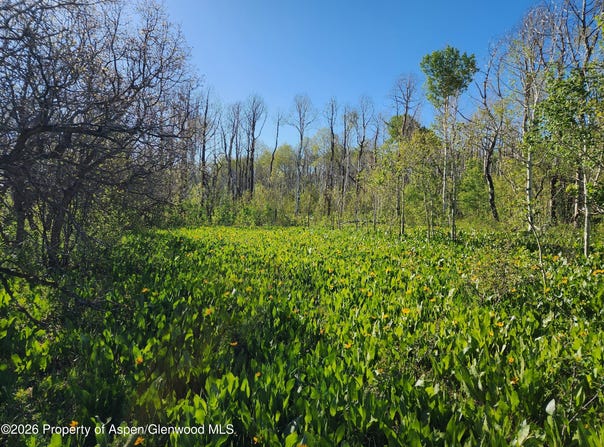 234 Tananger Lane, Craig, CO 81625