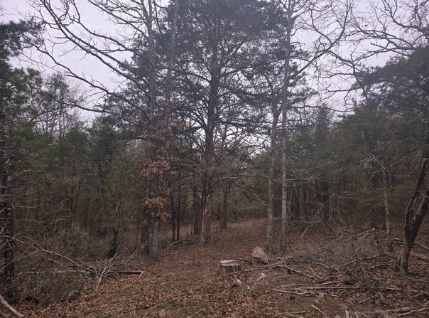 10  Brumfield Rd, Antlers, OK 74523