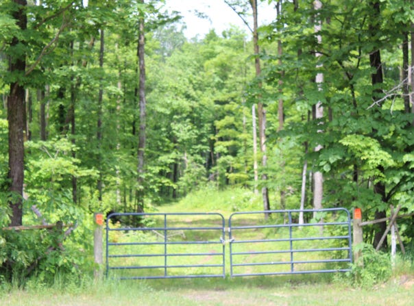 Soderquiest, Mancelona, MI 49659