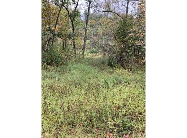 162 Madison CR 410, Fredericktown, MO 63645