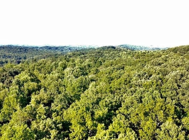 6280 Dawsonville Highway, Dawsonville, GA 30534