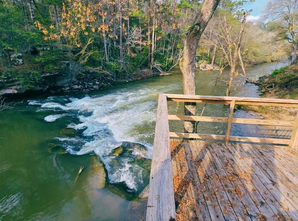 BLUEGRASS Ln, Jasper, AL 35503