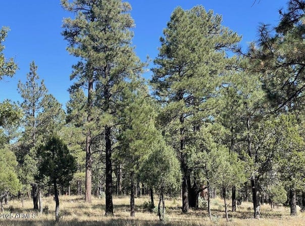 2634 SAN JUAN Drive, Happy Jack, AZ 86024