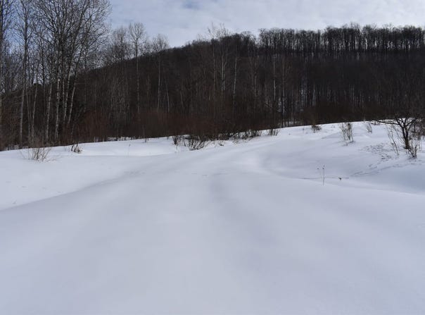 Morgan Hollow Road, Franklinville, NY 14737