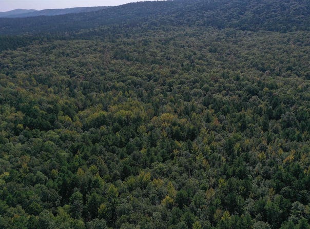 FS RD 795, Bluffton, AR 72827