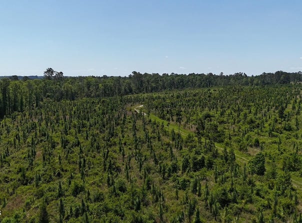 Deer Run Road, Vidalia, GA 30474