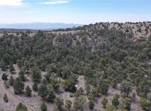 0 Pinion Pine, Pioche, NV 89043