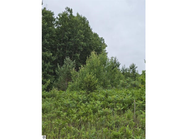 V/L 00 N 9 Road, Mesick, MI 49668