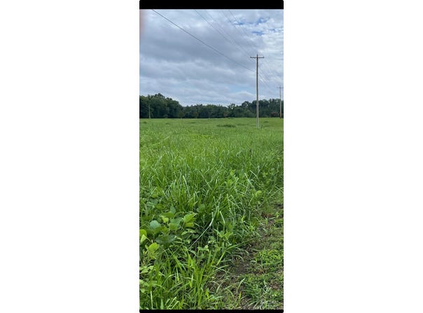 W Duncan Road, Indian Trail, NC 28079